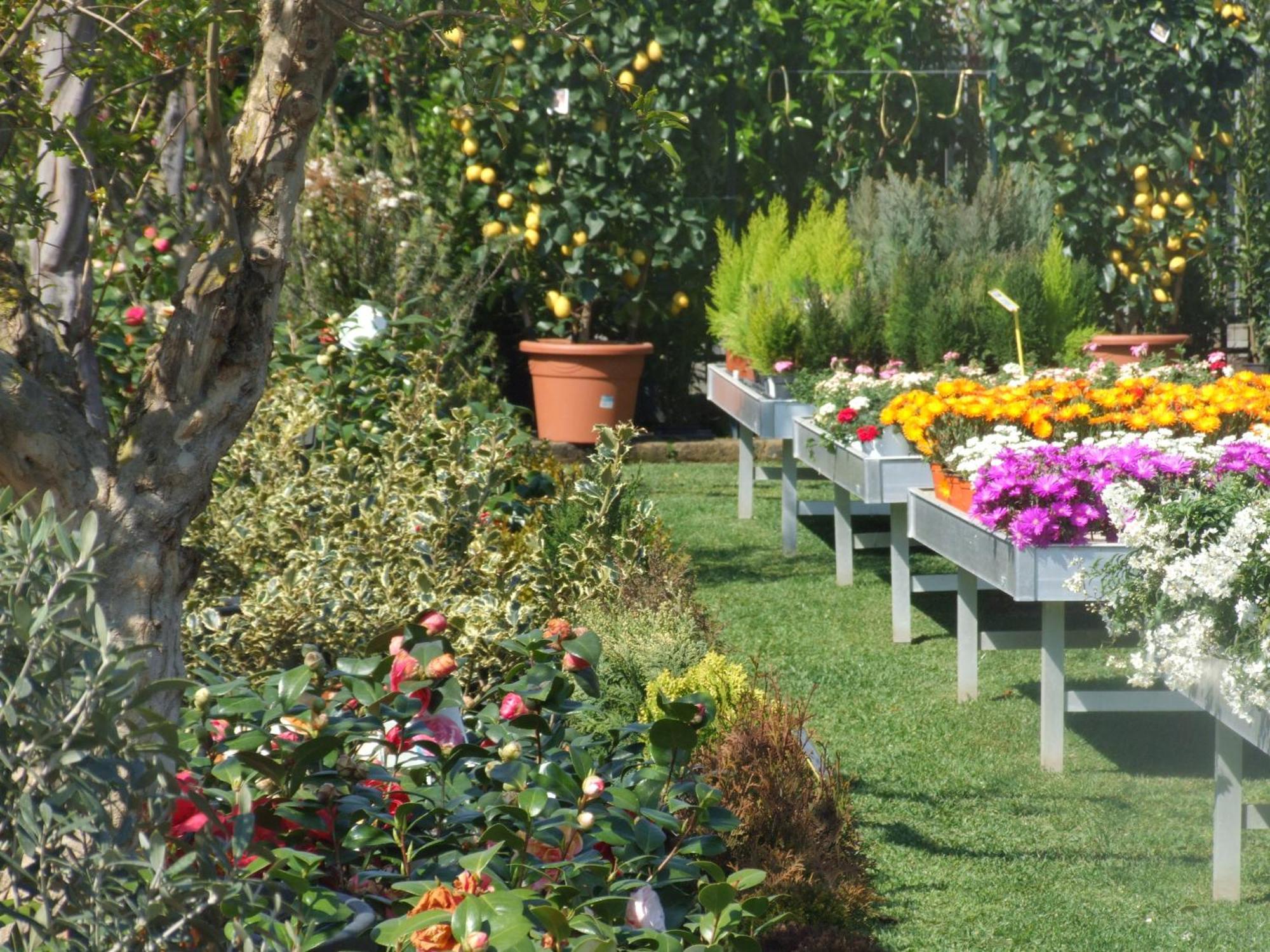 Residenza I Ciclamini Bed and Breakfast Rome Buitenkant foto