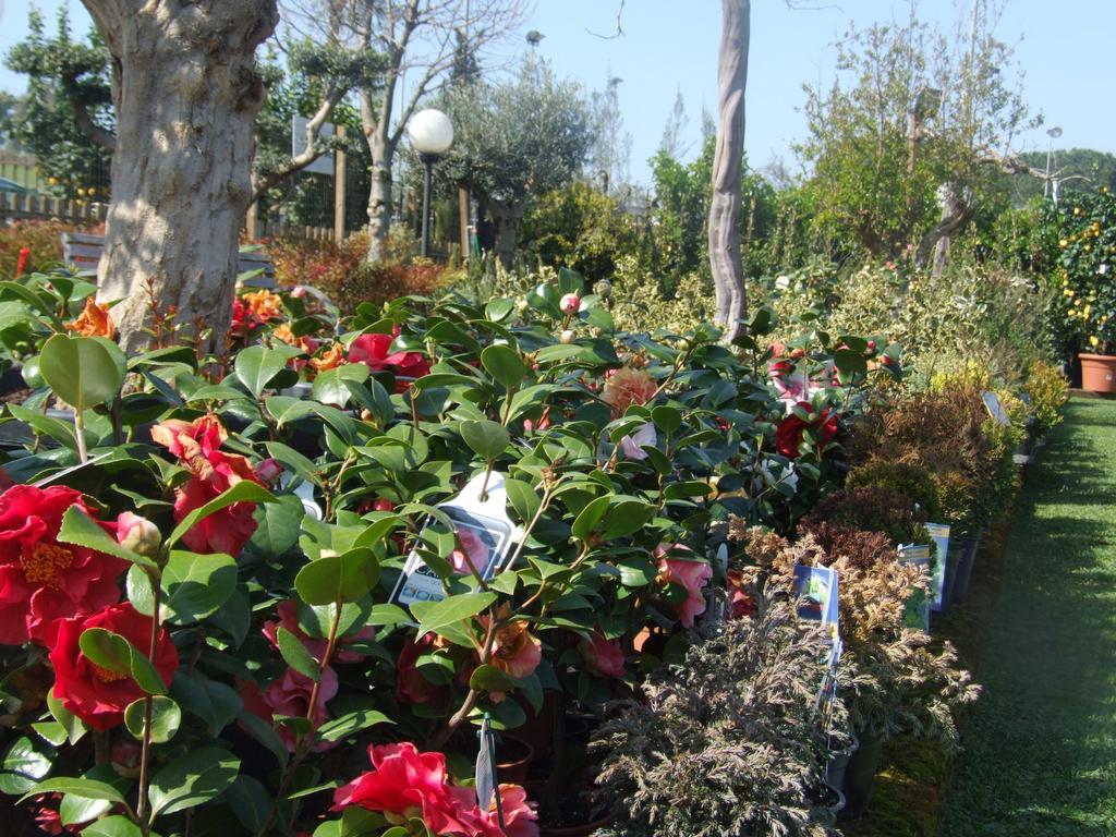 Residenza I Ciclamini Bed and Breakfast Rome Buitenkant foto