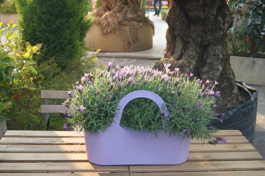 Residenza I Ciclamini Bed and Breakfast Rome Buitenkant foto