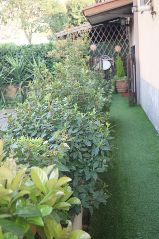 Residenza I Ciclamini Bed and Breakfast Rome Buitenkant foto