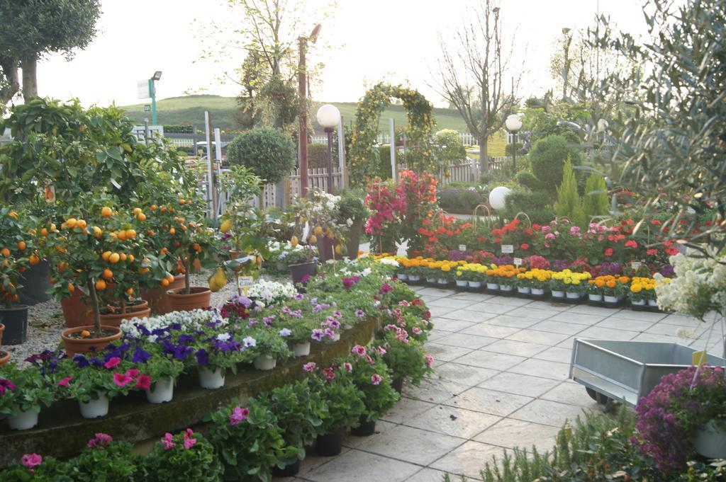 Residenza I Ciclamini Bed and Breakfast Rome Buitenkant foto